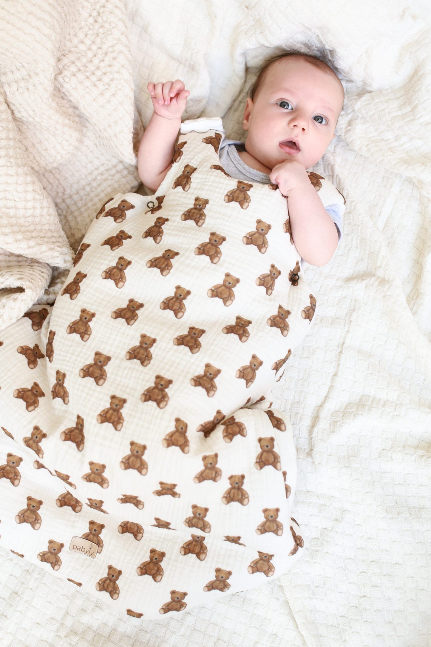 Teddy bears baby sleeping bag