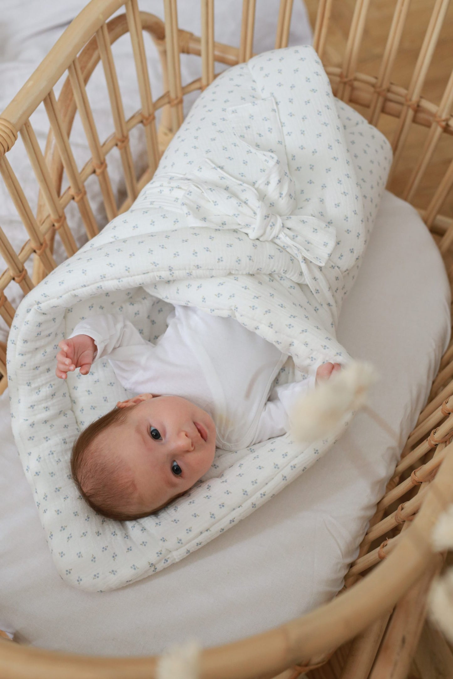 Baby wrap blue berries