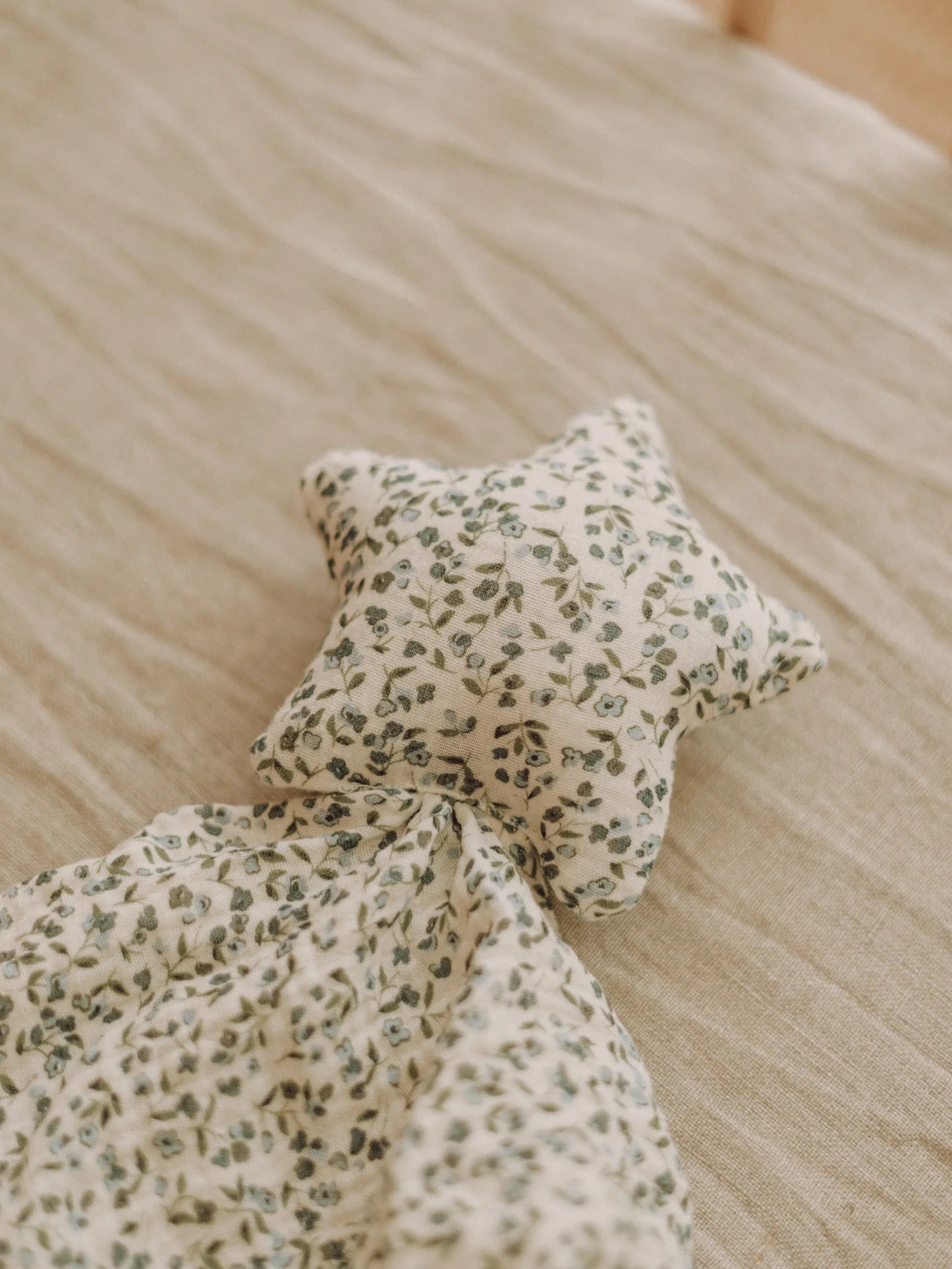 Petite Evelina Apparel organic cotton star cuddle cloth Bluebell
