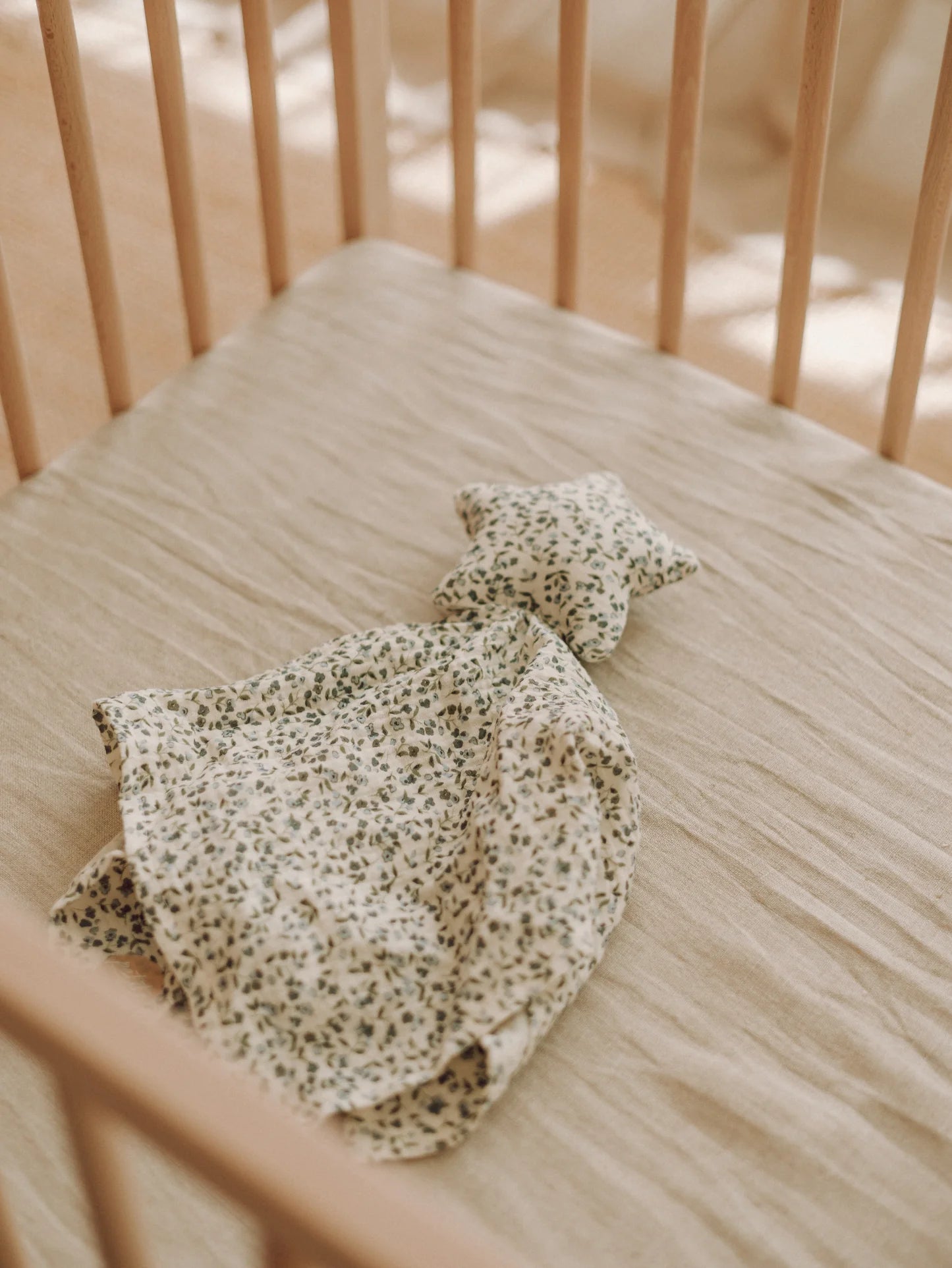 Petite Evelina Apparel organic cotton star cuddle cloth Bluebell