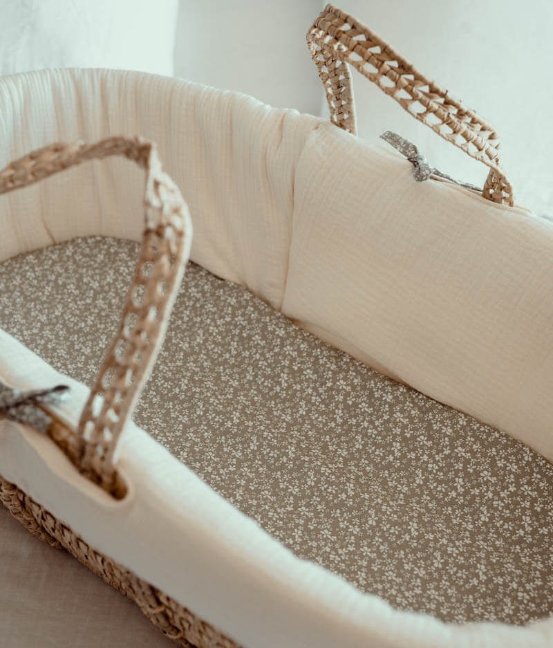 Moses Cru carrycot
