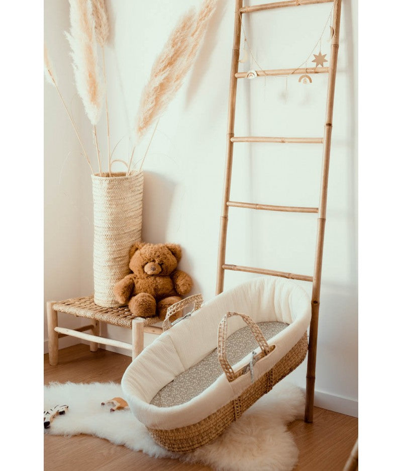 Moses Cru carrycot