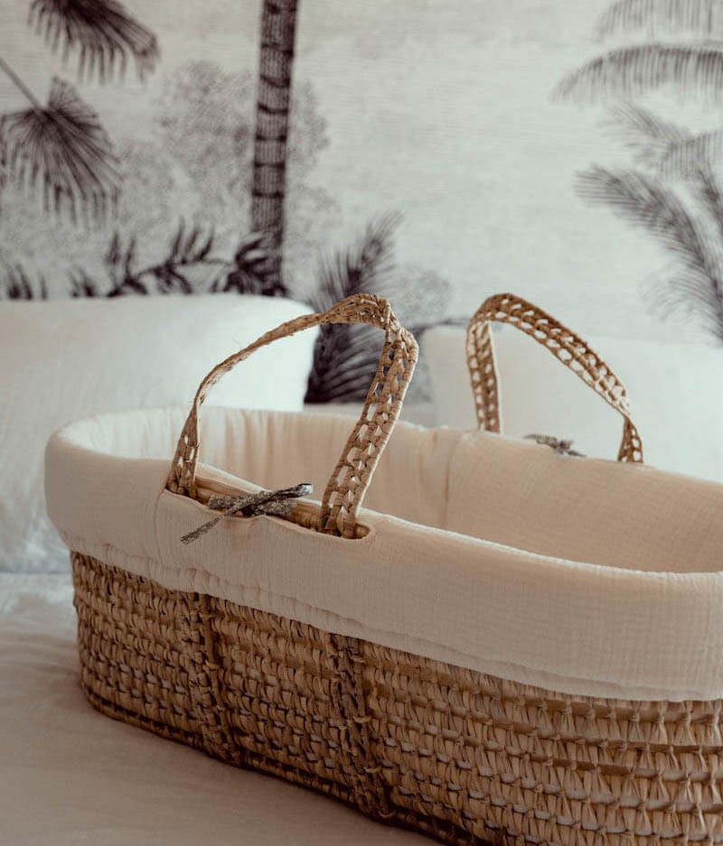 Moses Cru carrycot